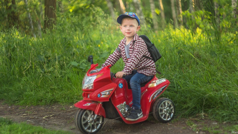 Фотографія А попереду довга дорога. Нехай вона буде щасливою! / Alex / photographers.ua