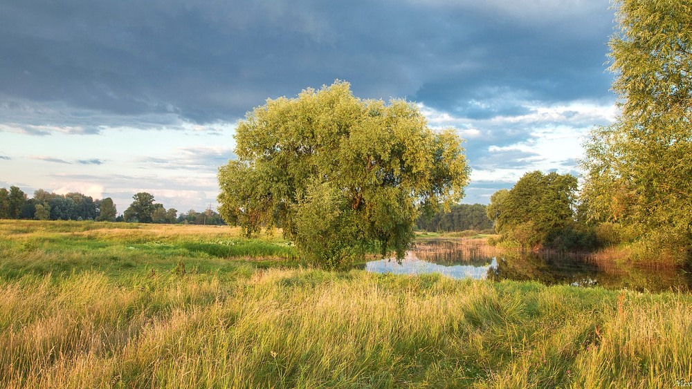 Фотографія Пейзаж / Alex / photographers.ua