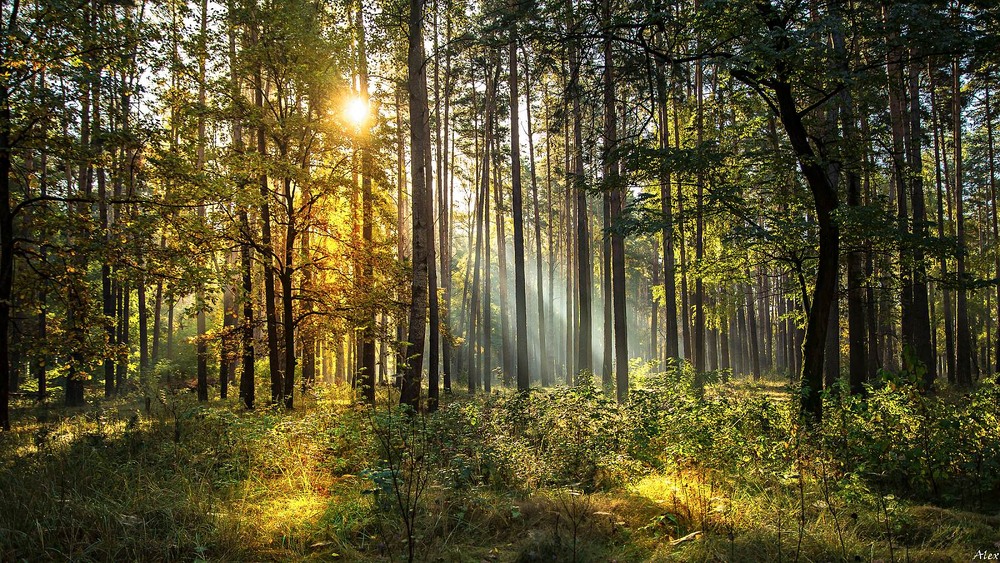 Фотографія Пейзаж / Alex / photographers.ua