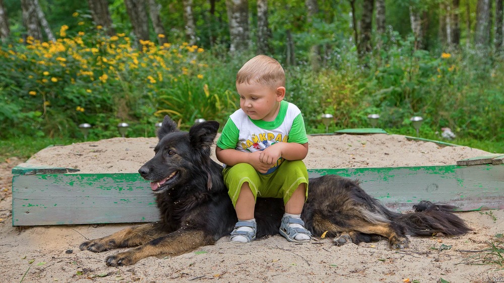 Фотографія Друзі / Alex / photographers.ua