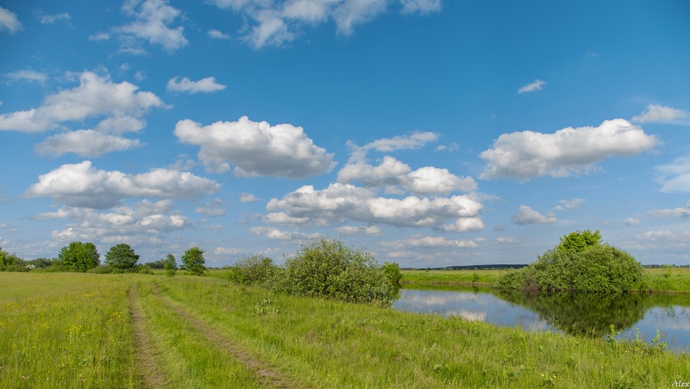 Фотографія Пейзаж / Alex / photographers.ua
