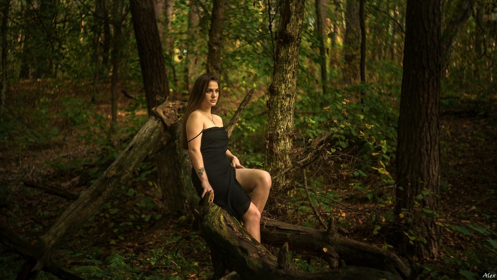 Фотографія Портрет / Alex / photographers.ua