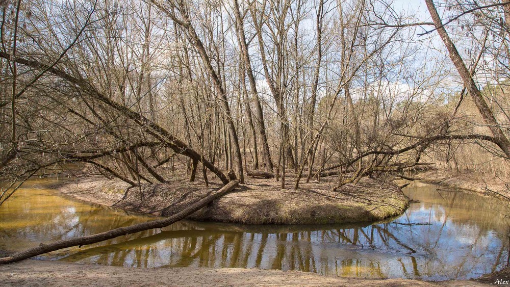Фотографія Пейзаж / Alex / photographers.ua