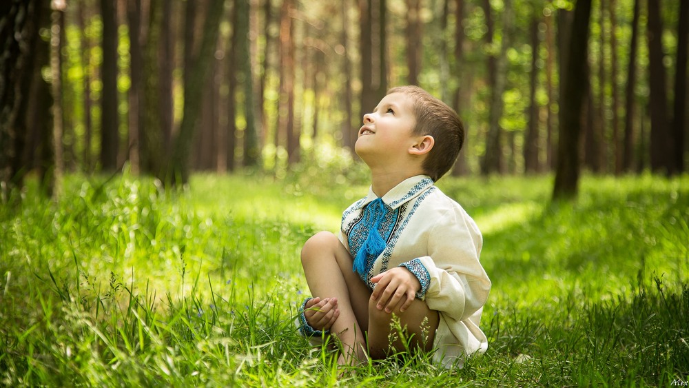 Фотографія Козацькому роду нема переводу! / Alex / photographers.ua