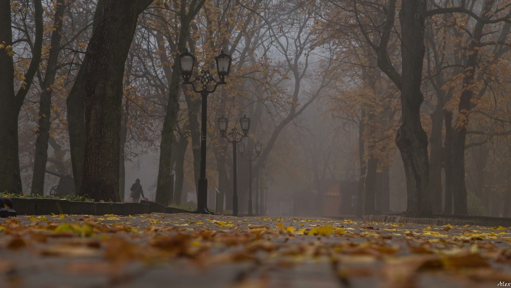 Фотографія Магія туману / Alex / photographers.ua