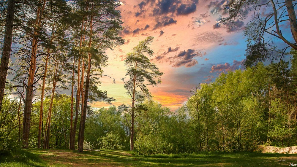 Фотографія Разное / Alex / photographers.ua