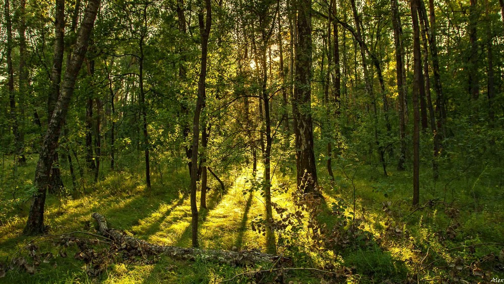 Фотографія Пейзаж / Alex / photographers.ua