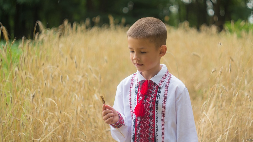 Фотографія Козацькому роду нема переводу! / Alex / photographers.ua
