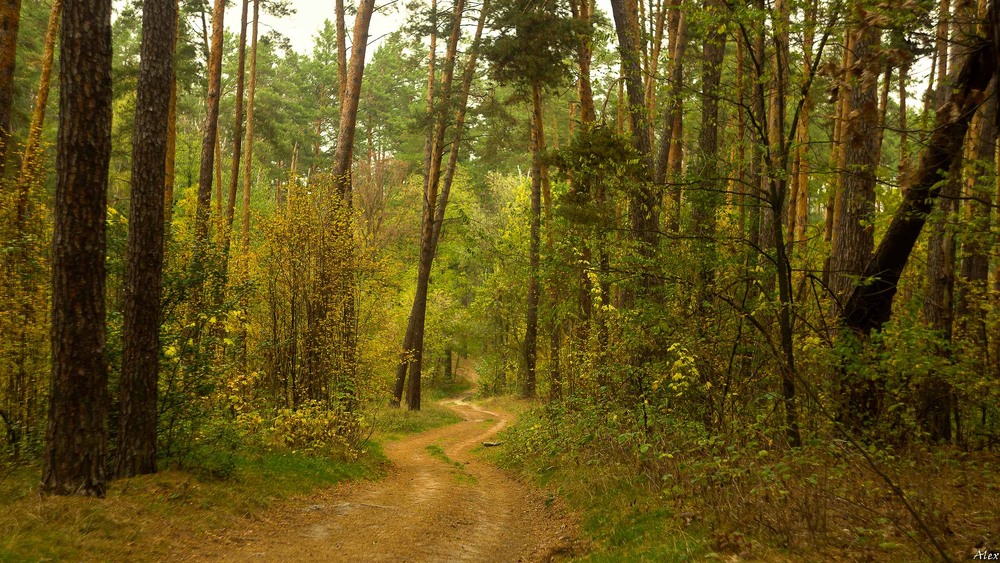 Фотографія Пейзаж / Alex / photographers.ua