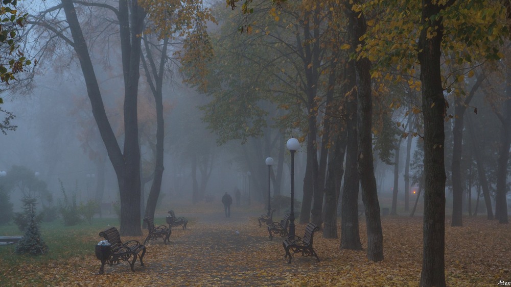 Фотографія Осінь в місті / Alex / photographers.ua