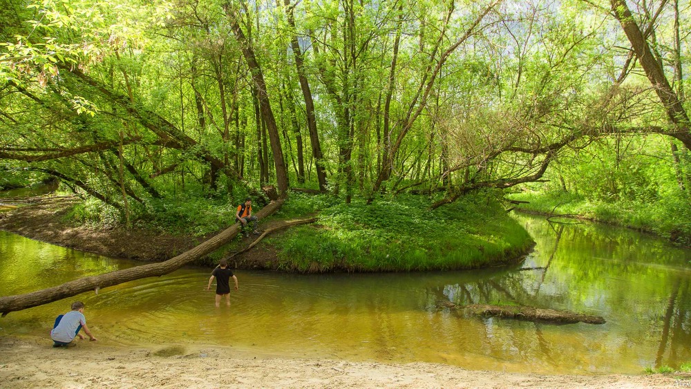 Фотографія Пейзаж / Alex / photographers.ua