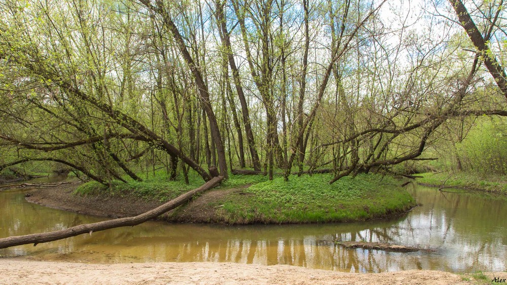 Фотографія Пейзаж / Alex / photographers.ua