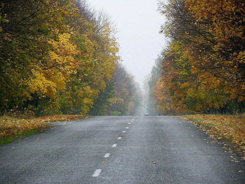 Фотографія Дорога в осінь / Tetyana Kovalenko / photographers.ua