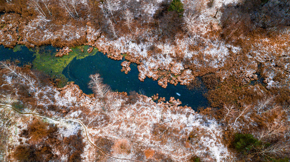 Фотографія зима.. початок.. / HD Sky / photographers.ua