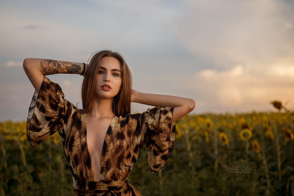 Фотографія Sunflowers / Solonar Vitalii / photographers.ua