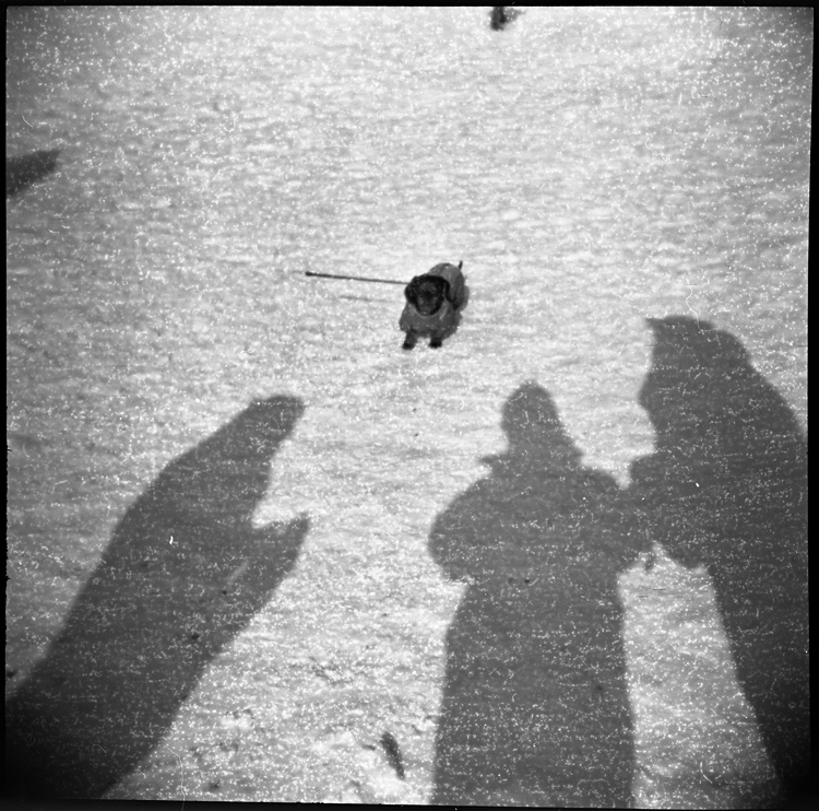 Фотографія трое, не считая собаки / Максим Чичинский / photographers.ua