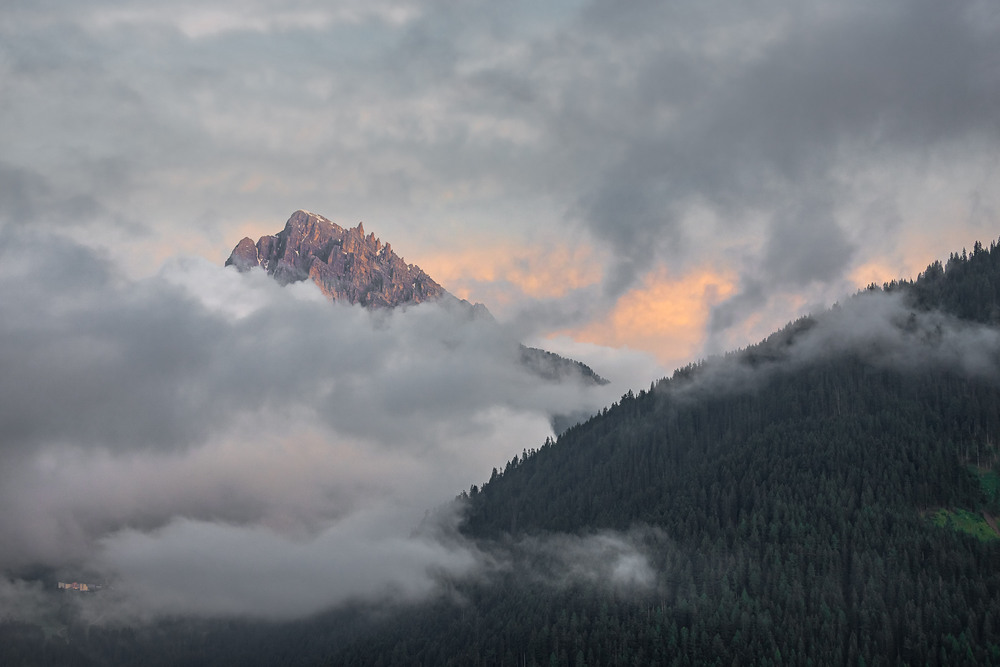 Фотографія Вмиті дощем / Андрій / photographers.ua