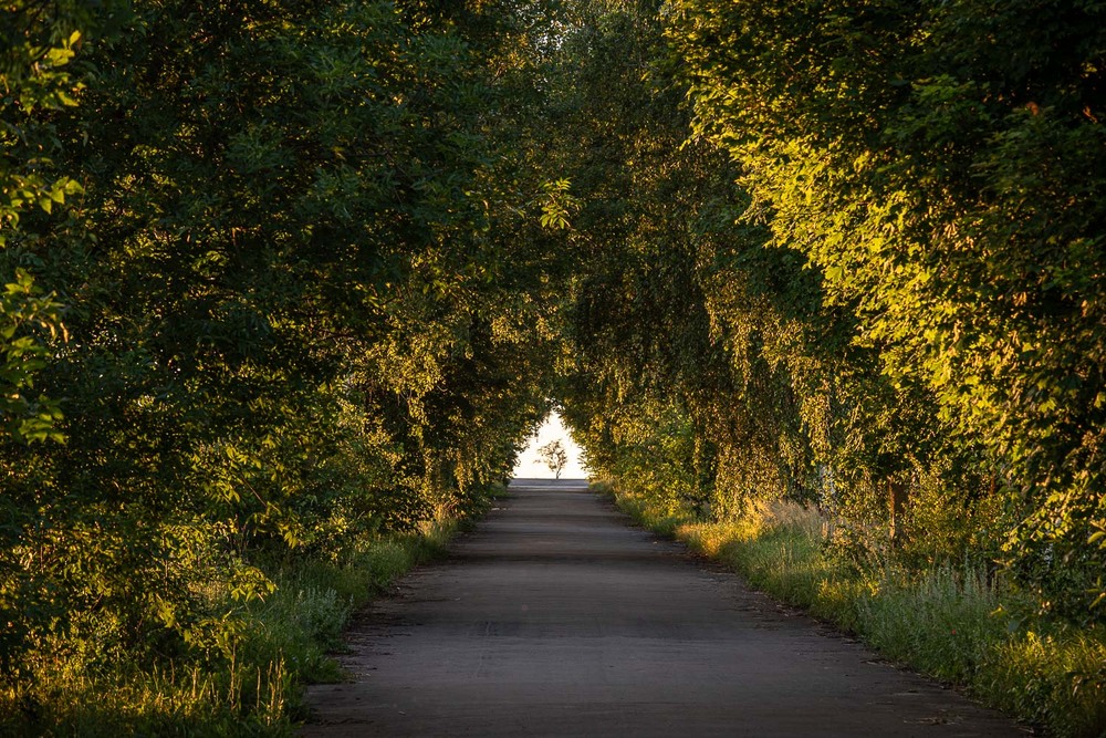 Фотографія Трикутник / Андрій / photographers.ua