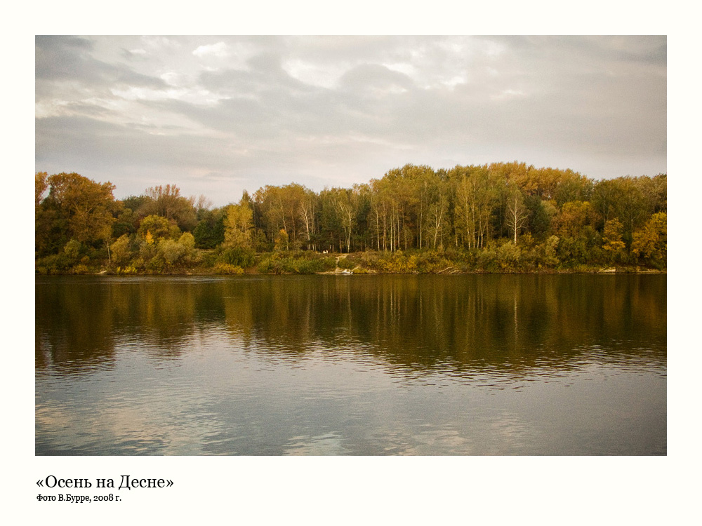 Фотографія Осень на Десне / Виктор Бурре / photographers.ua