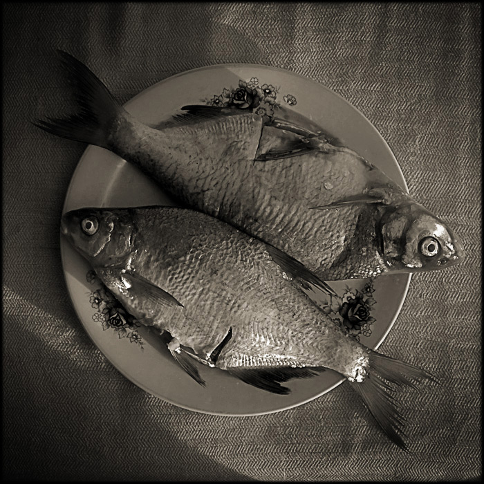 Фотографія Про рыбу и геометрию / Виктор Бурре / photographers.ua