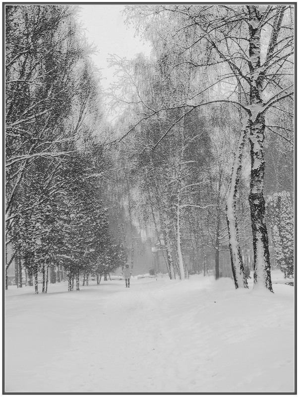 Фотографія ***** / Stas Haiovskiy / photographers.ua