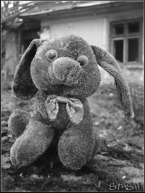 Фотографія Загублена Іграшка / Stas Haiovskiy / photographers.ua