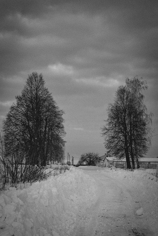 Фотографія За полчаса до снегопада / Вадим Кладинога / photographers.ua