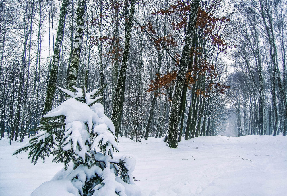 Фотографія Пейзаж / Андрій / photographers.ua