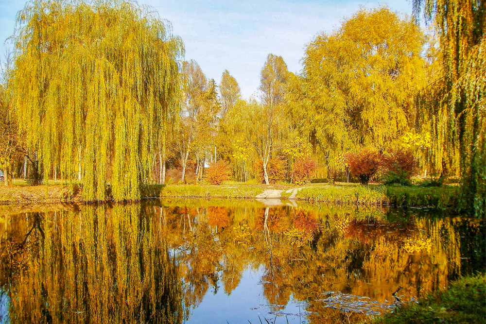 Фотографія Пейзаж / Андрій / photographers.ua