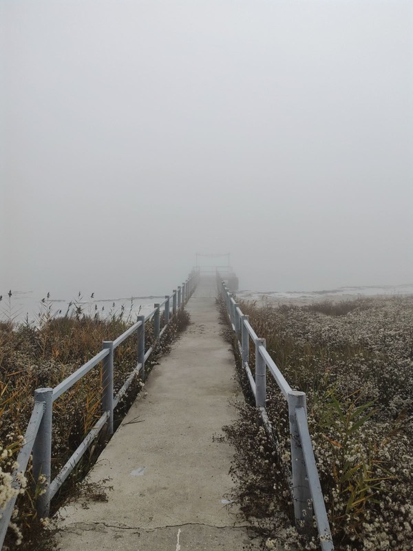 Фотографія Onward Through The Fog / RO Photography / photographers.ua