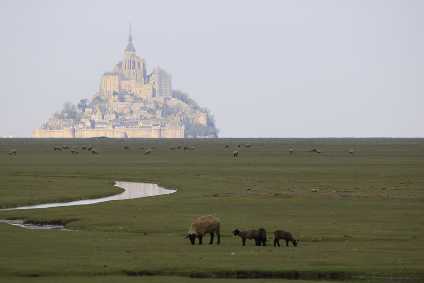 Фотографія Mont-Saint-Michel, France / RO Photography / photographers.ua