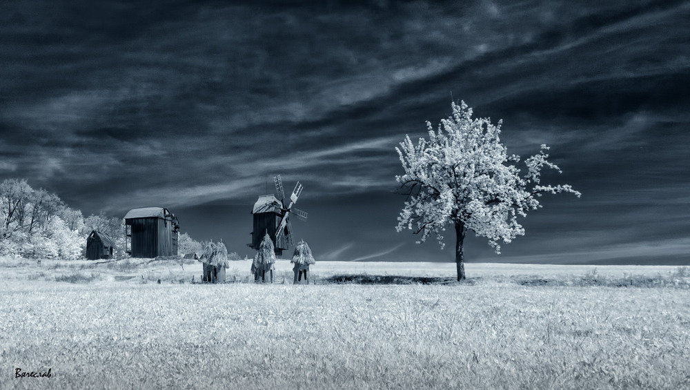 Фотографія травневий сніг... / Вячеслав / photographers.ua