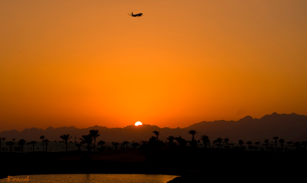 Фотографія I Have A Dream... / Вячеслав / photographers.ua