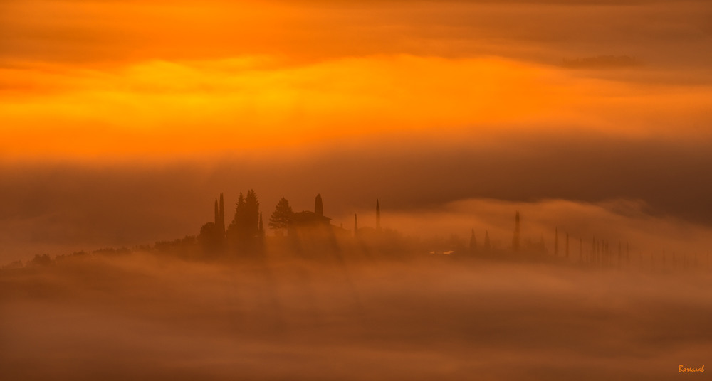 Фотографія Червоне золото туманного світанку / Вячеслав / photographers.ua