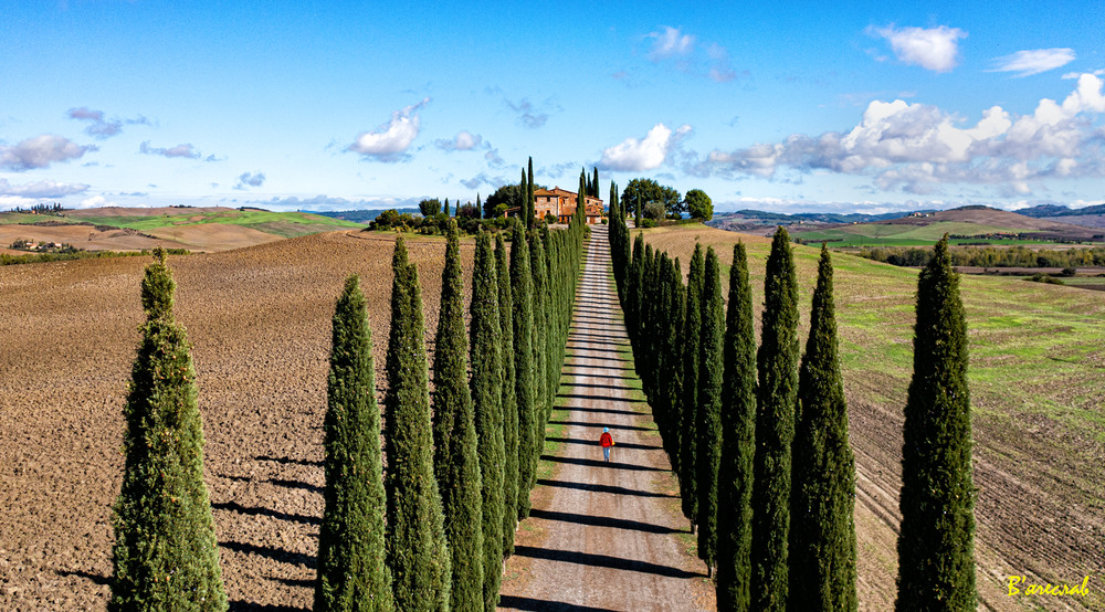 Фотографія сонячними сходами... / Вячеслав / photographers.ua