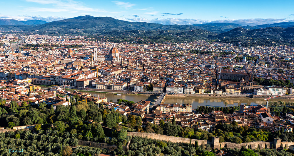 Фотографія Флоренція... коли птаха губить зв'язок... / Вячеслав / photographers.ua