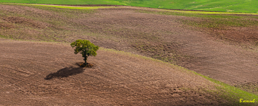 Фотографія і один в полі... / Вячеслав / photographers.ua