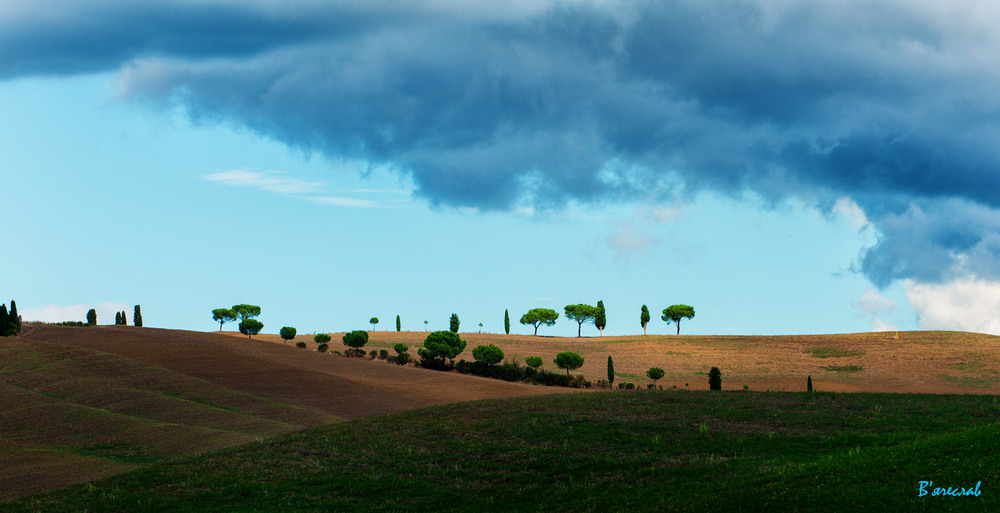 Фотографія тосканська ковдра...5 / Вячеслав / photographers.ua
