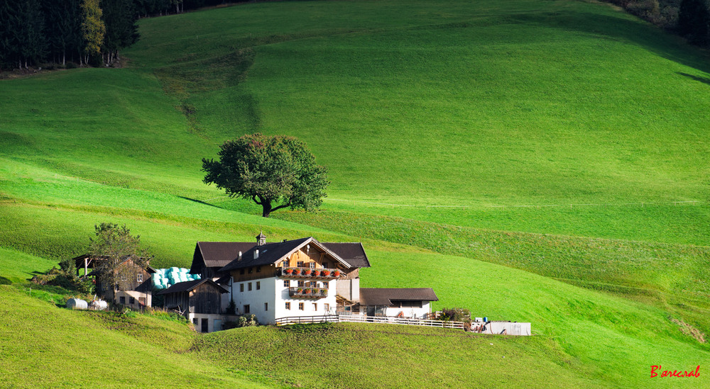 Фотографія життя під горою... / Вячеслав / photographers.ua