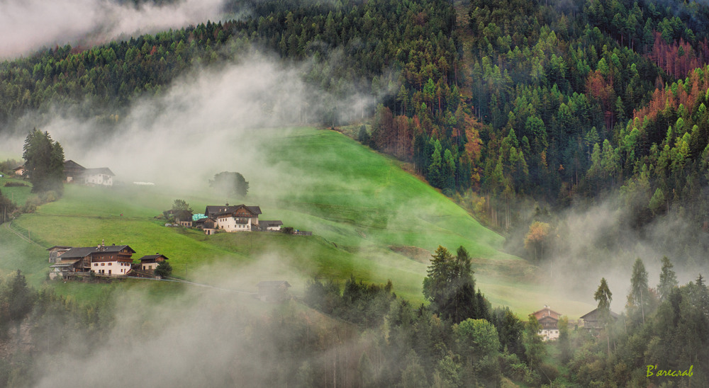 Фотографія туманний ранок, 3 / Вячеслав / photographers.ua