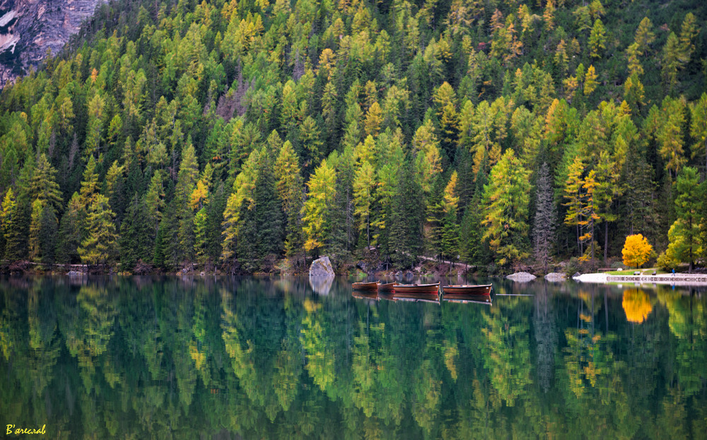 Фотографія осіннє відображення 5... / Вячеслав / photographers.ua