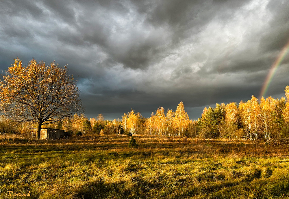 Фотографія ось ось, злива... відчуття дощу... / Вячеслав / photographers.ua
