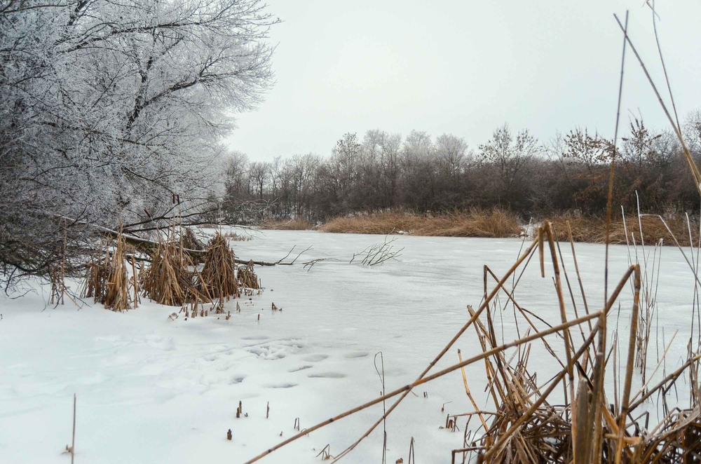 Фотографія Зима минулого року / Коваленко Світлана / photographers.ua
