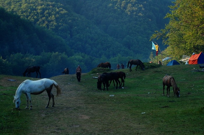 Фотографія Нашестя коней / Орест / photographers.ua