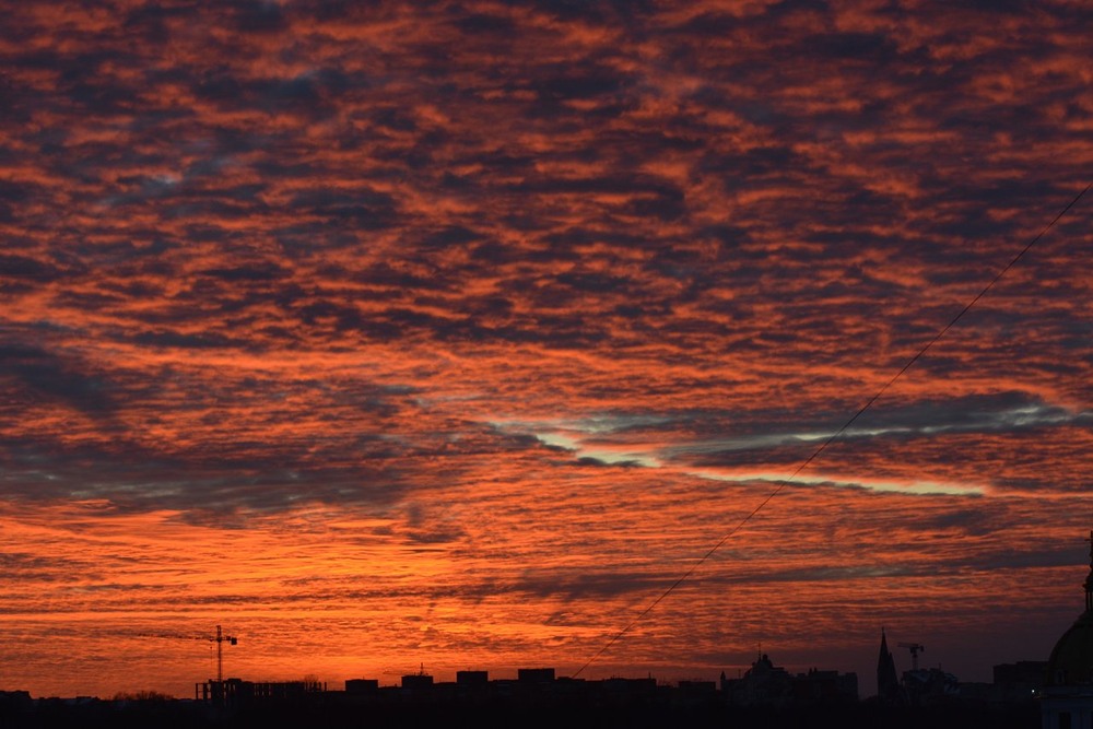 Фотографія Багряна височінь / Бор / photographers.ua