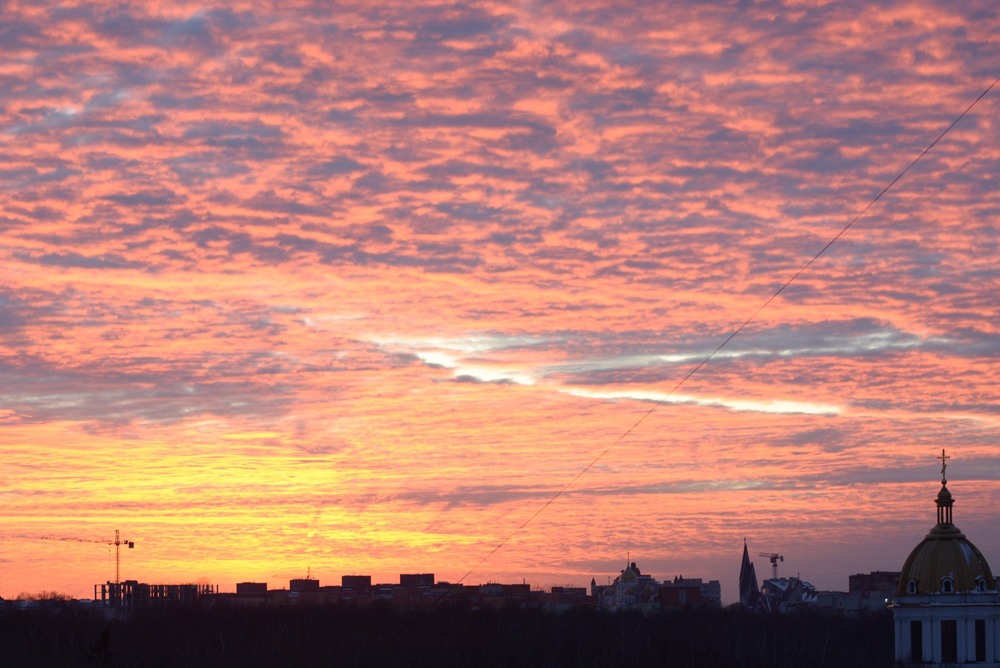 Фотографія Багряна височінь 2 / Бор / photographers.ua