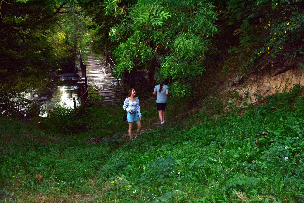 Фотографія З міст через мости / Бор / photographers.ua