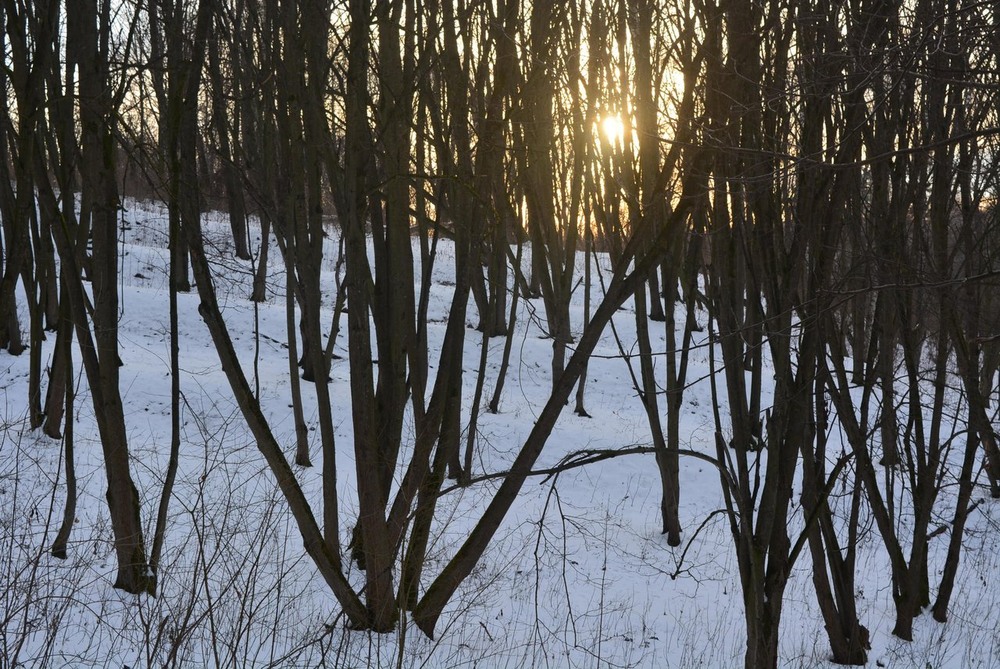 Фотографія Була зима / Орест / photographers.ua
