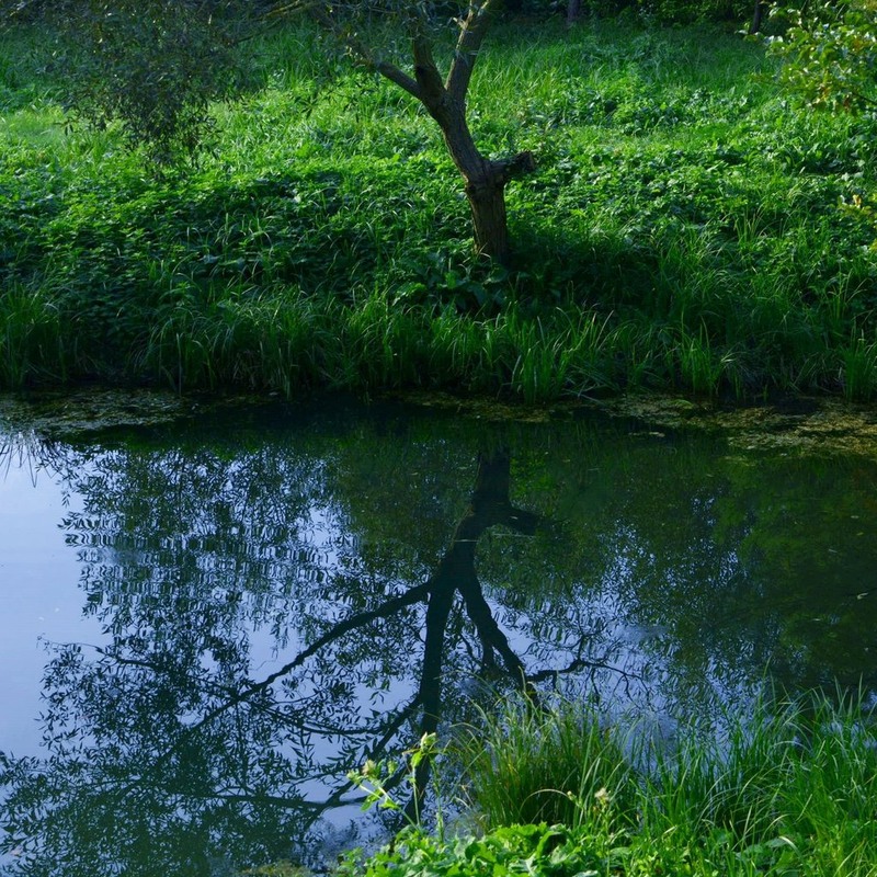 Фотографія До неба, землі і води / Бор / photographers.ua
