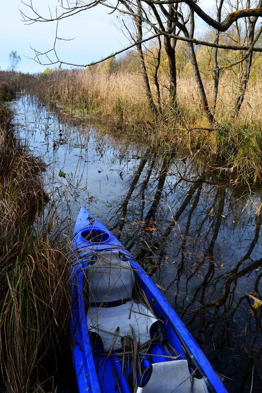 Фотографія По артерії / Бор / photographers.ua